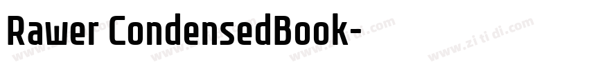 Rawer CondensedBook字体转换